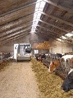 Klik voor groter formaat